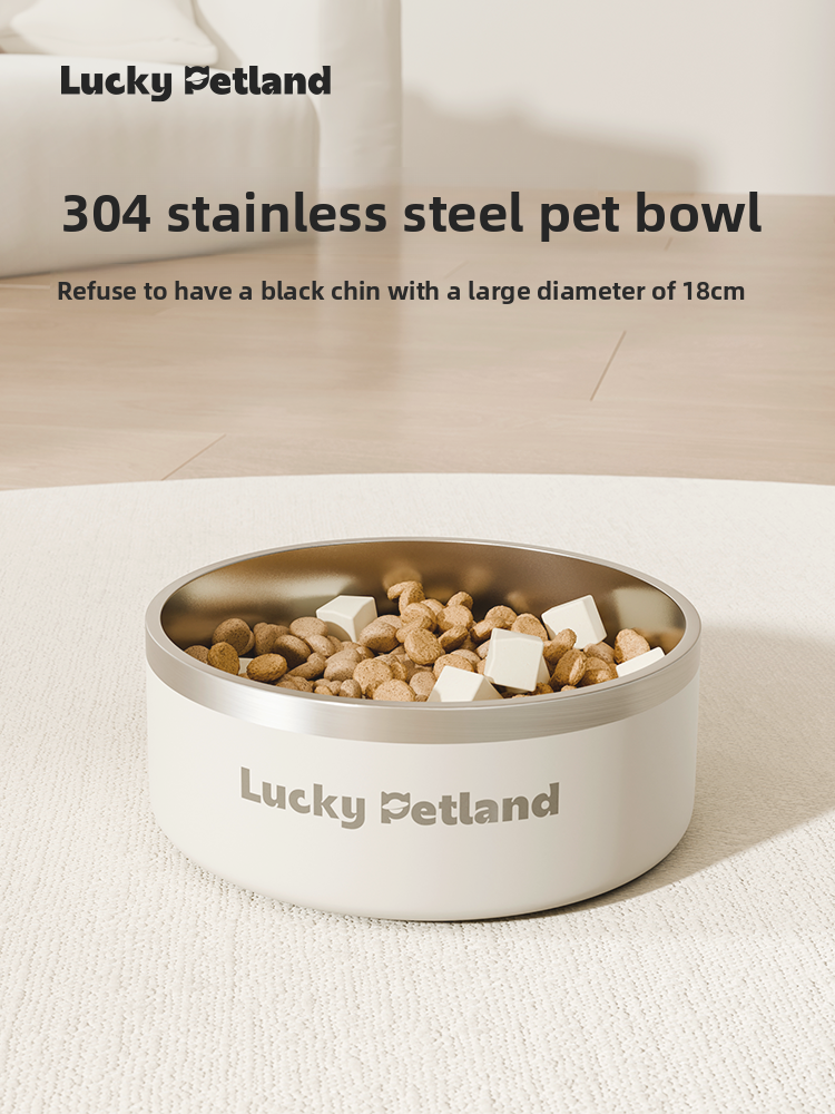 Stainless Steel Pet Food and Water Bowl
