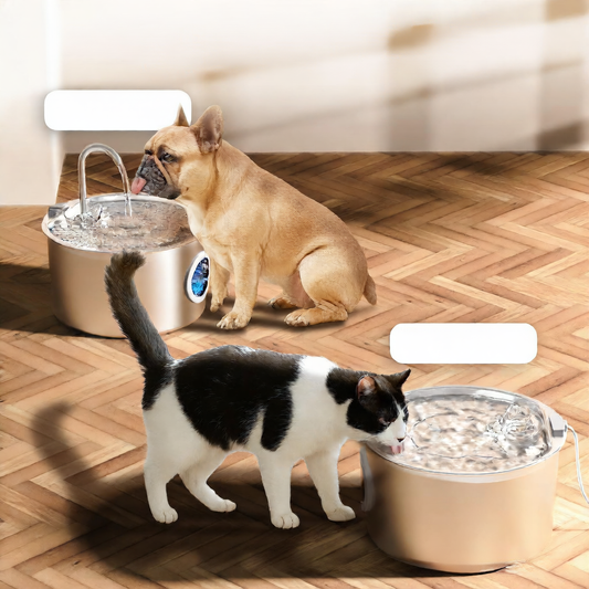 Stainless Steel Pet Water Dispenser with Filter