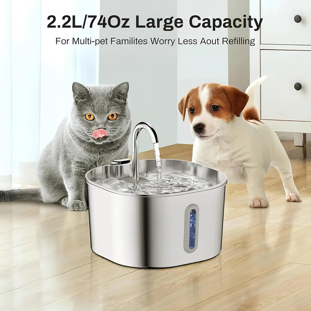 Stainless Steel Pet Water Dispenser with Filtration System