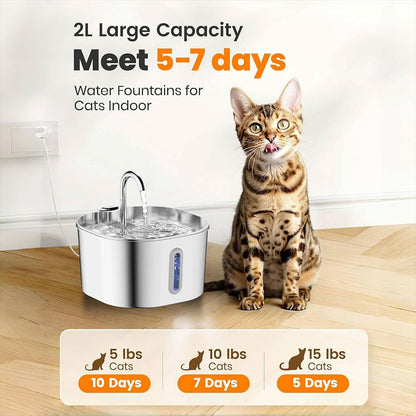 Stainless Steel Pet Water Dispenser with Filtration System