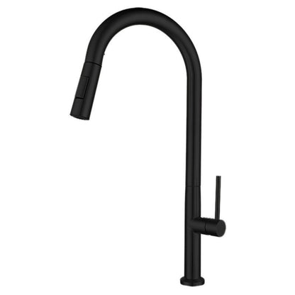 Stainless Steel Pull-Out Kitchen Faucet