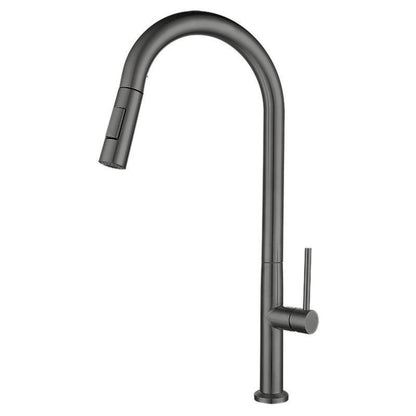 Stainless Steel Pull-Out Kitchen Faucet