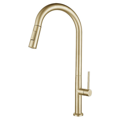 Stainless Steel Pull-Out Kitchen Faucet