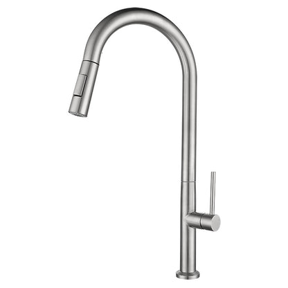 Stainless Steel Pull-Out Kitchen Faucet