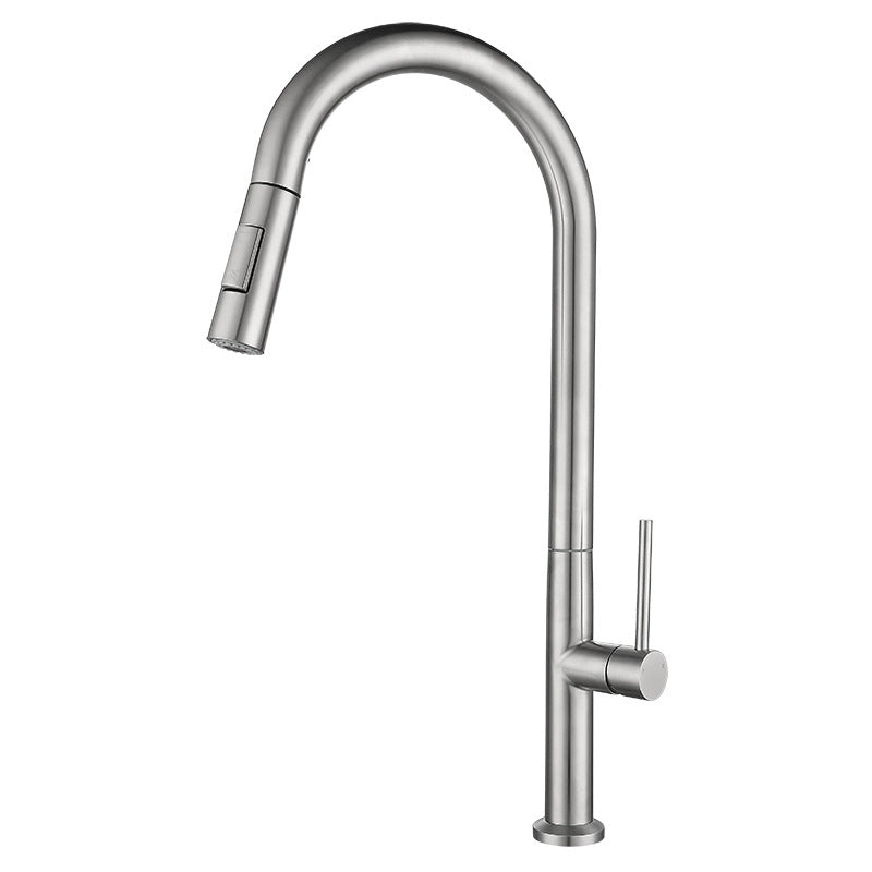 Stainless Steel Pull-Out Kitchen Faucet