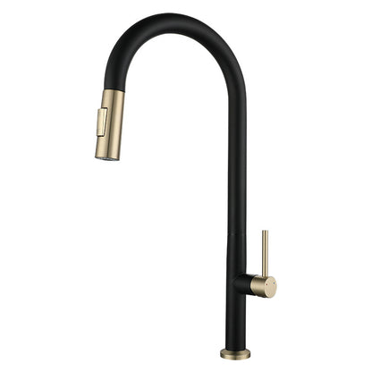 Stainless Steel Pull-Out Kitchen Faucet