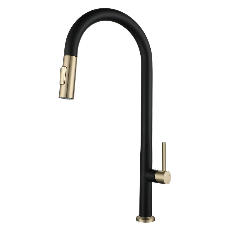 Stainless Steel Pull-Out Kitchen Faucet