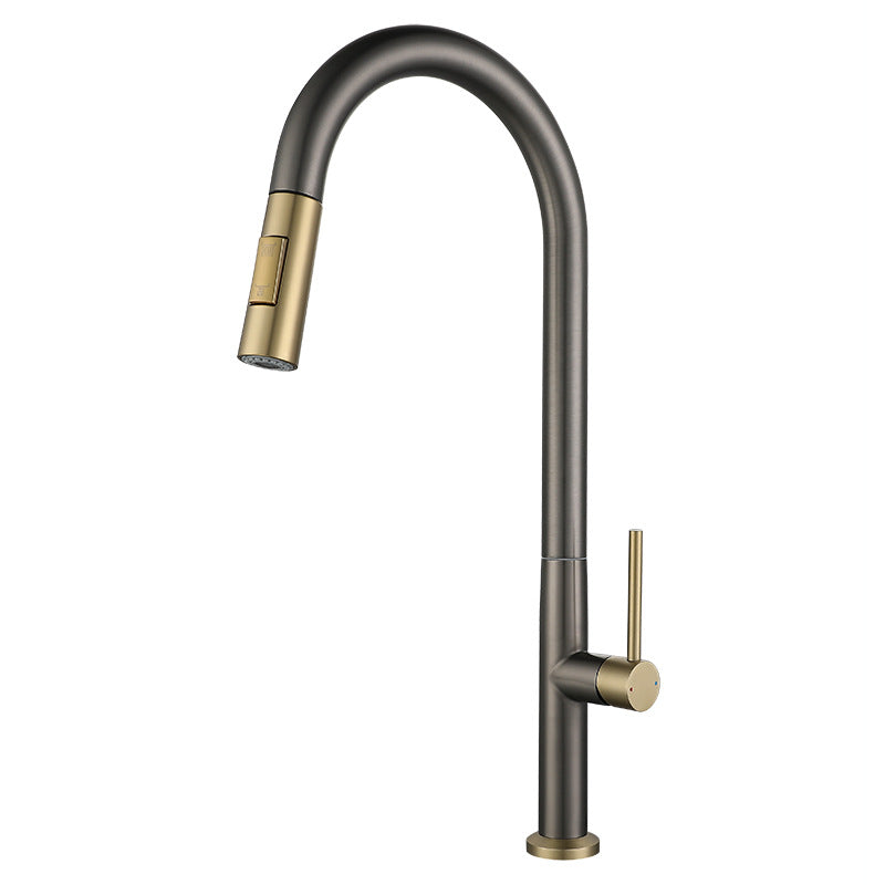 Stainless Steel Pull-Out Kitchen Faucet