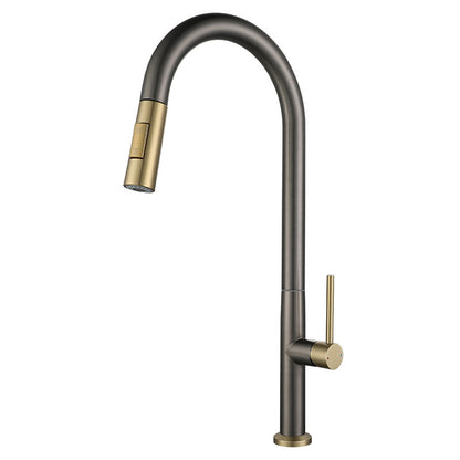 Stainless Steel Pull-Out Kitchen Faucet