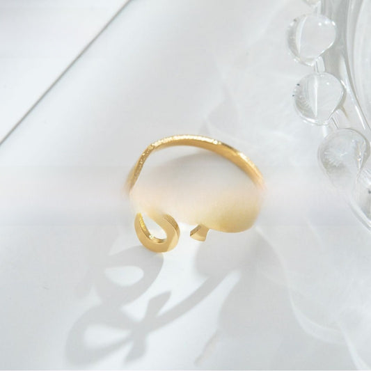 stainless steel ring