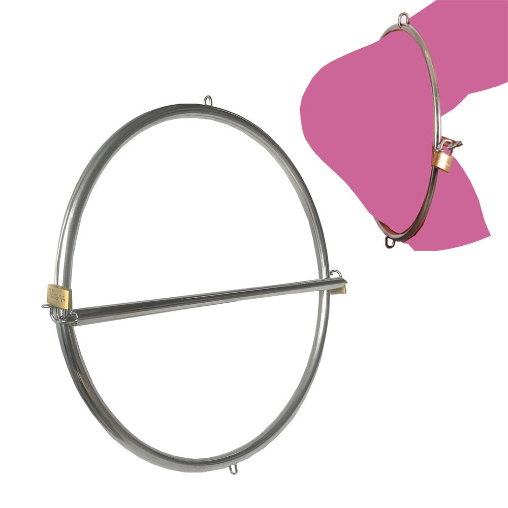 Stainless steel turtle-shaped hip lock device