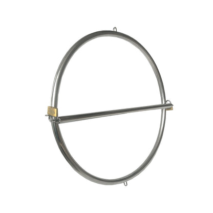 Stainless steel turtle-shaped hip lock device