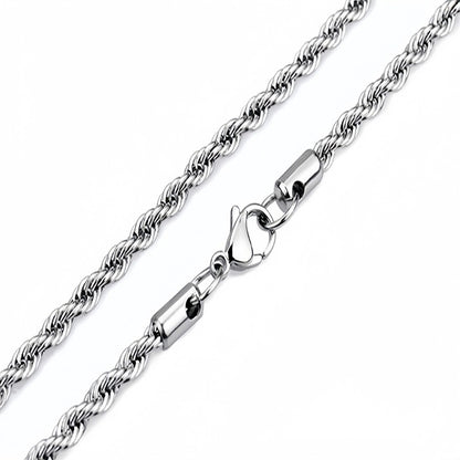 Stainless Steel Twist Necklace