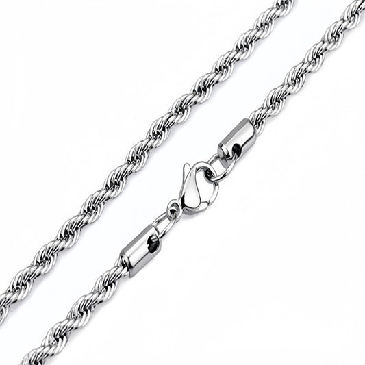 Stainless Steel Twist Necklace