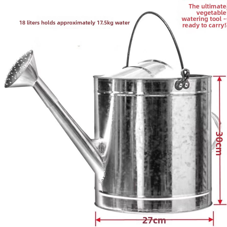 Stainless Steel Watering Can