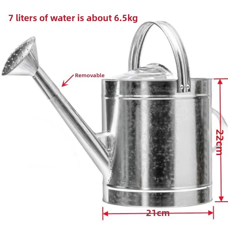 Stainless Steel Watering Can