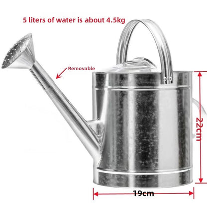 Stainless Steel Watering Can