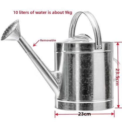 Stainless Steel Watering Can