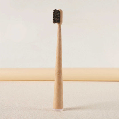 Stand-up bamboo toothbrush with large conical shape