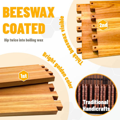 Standard Ten-Frame Beehive with Beekeeping Tools