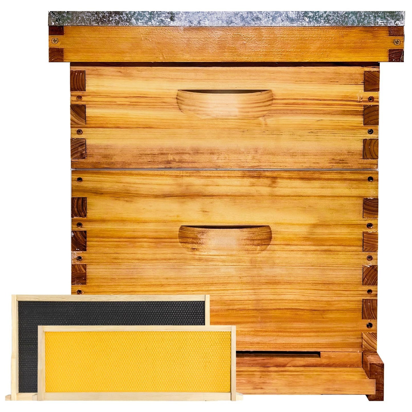 Standard Ten-Frame Beehive with Beekeeping Tools