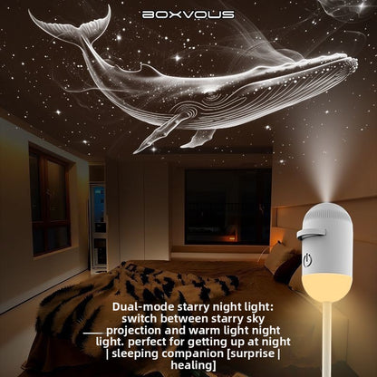 Star Projector