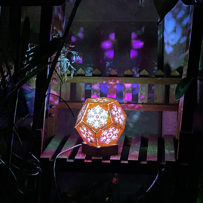 Starry sky projector