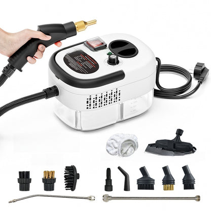 Steam Cleaner