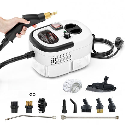Steam Cleaner