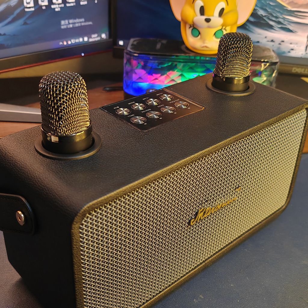 Stereo Bluetooth Outdoor Speaker