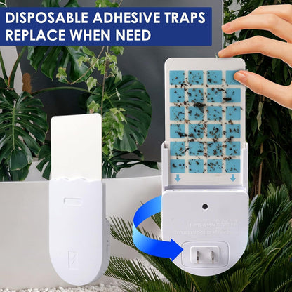 Sticky-type Mosquito Killer Lamp Sticky Mosquito Lamp Mosquito Attractor and Catcher