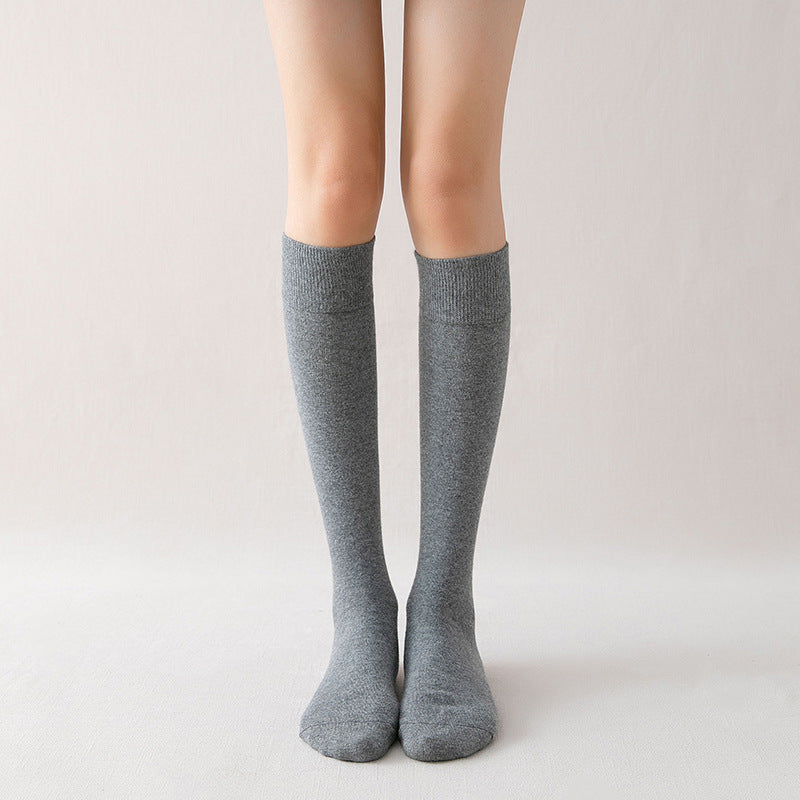 stockings