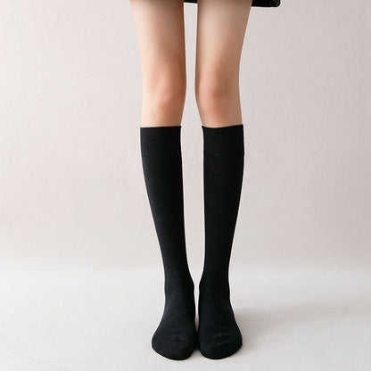 stockings