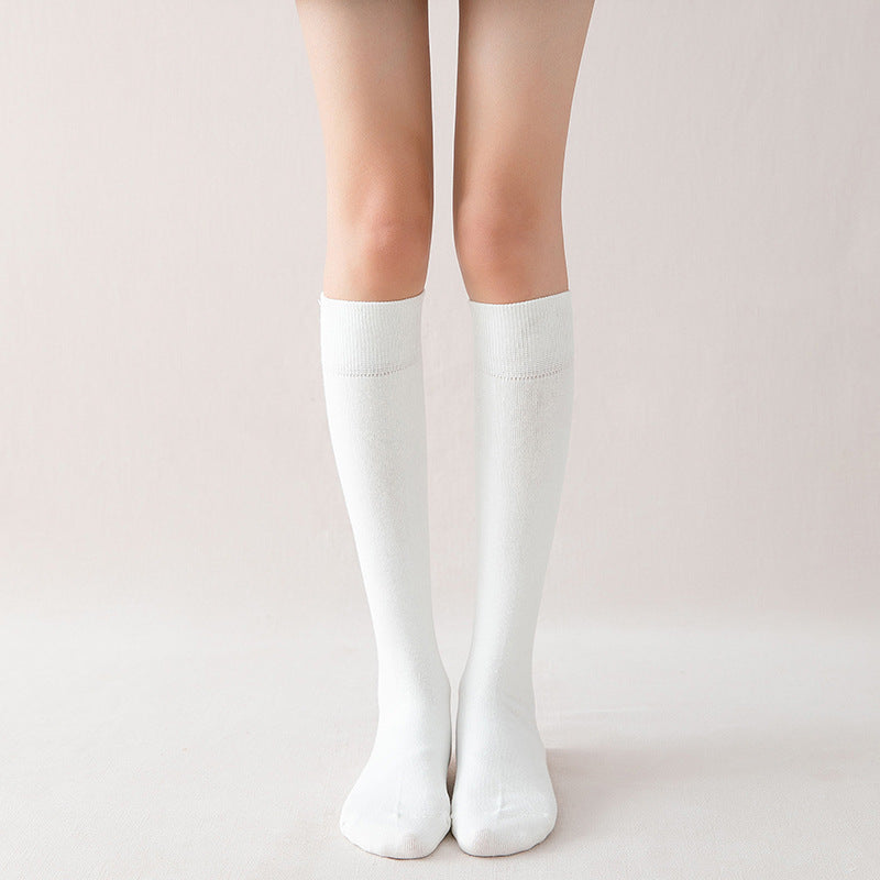 stockings