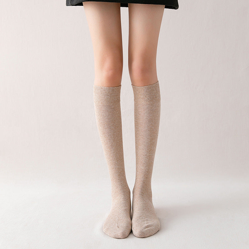 stockings