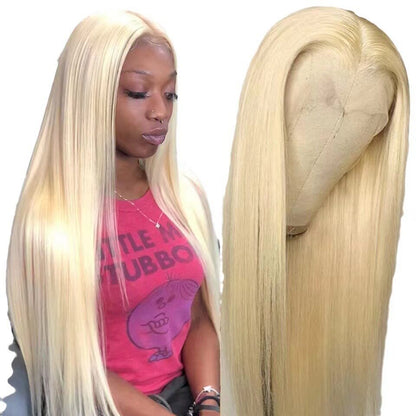Straight HD Lace Frontal Synthetic Wig