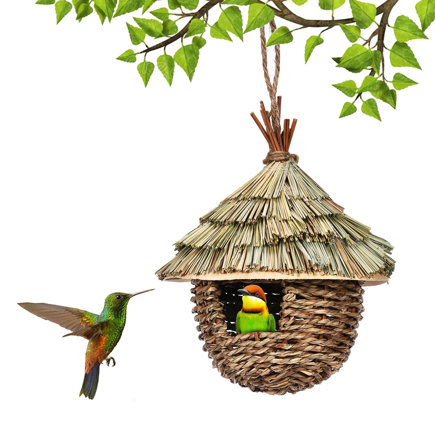 Straw bird's nest