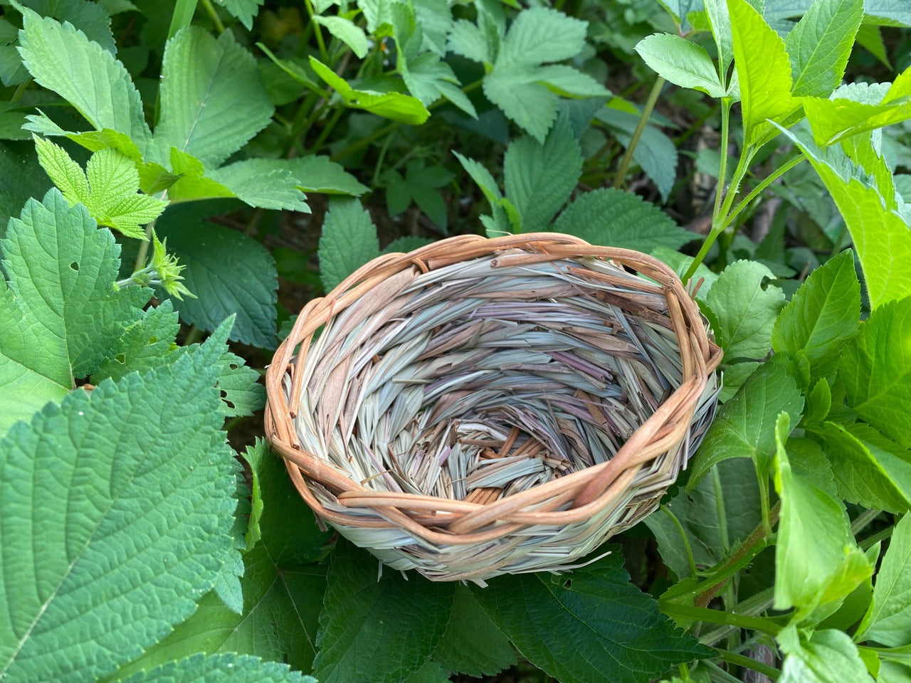 Straw birdhouse