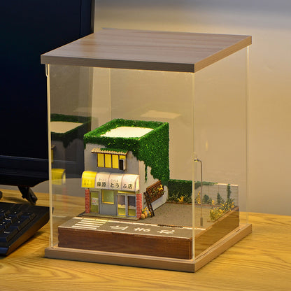 Street View model
