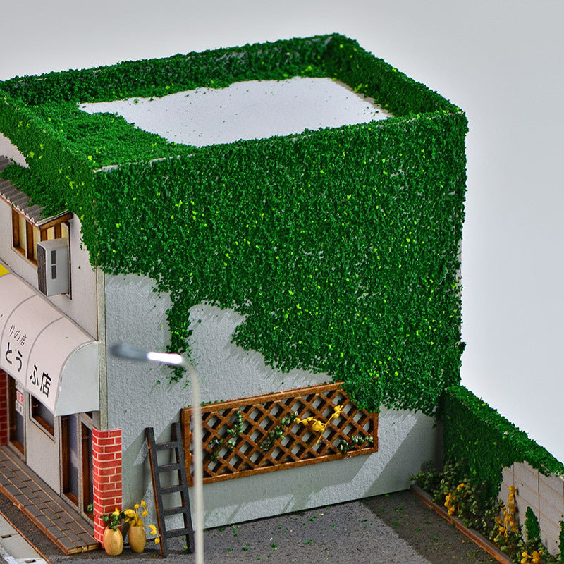 Street View model