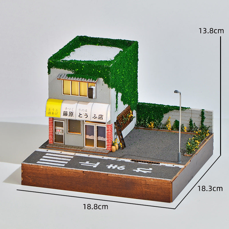 Street View model