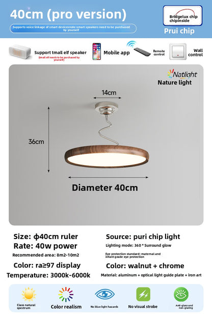 Study Twist Lamp