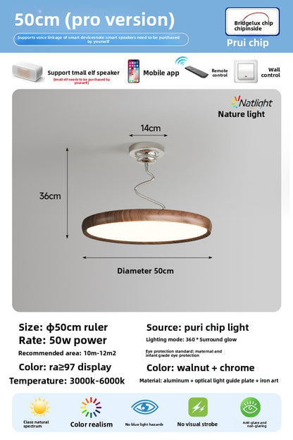 Study Twist Lamp