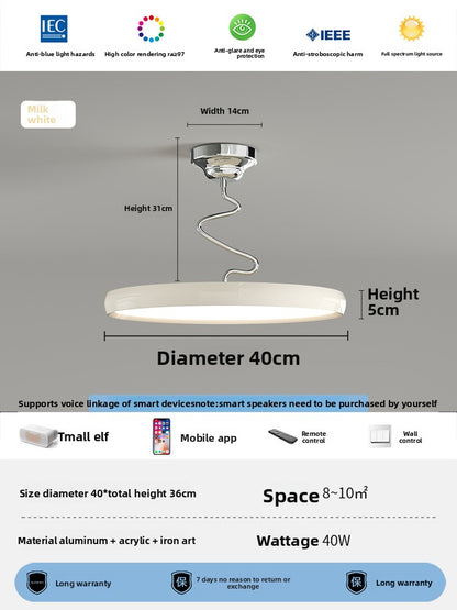 Study Twist Lamp