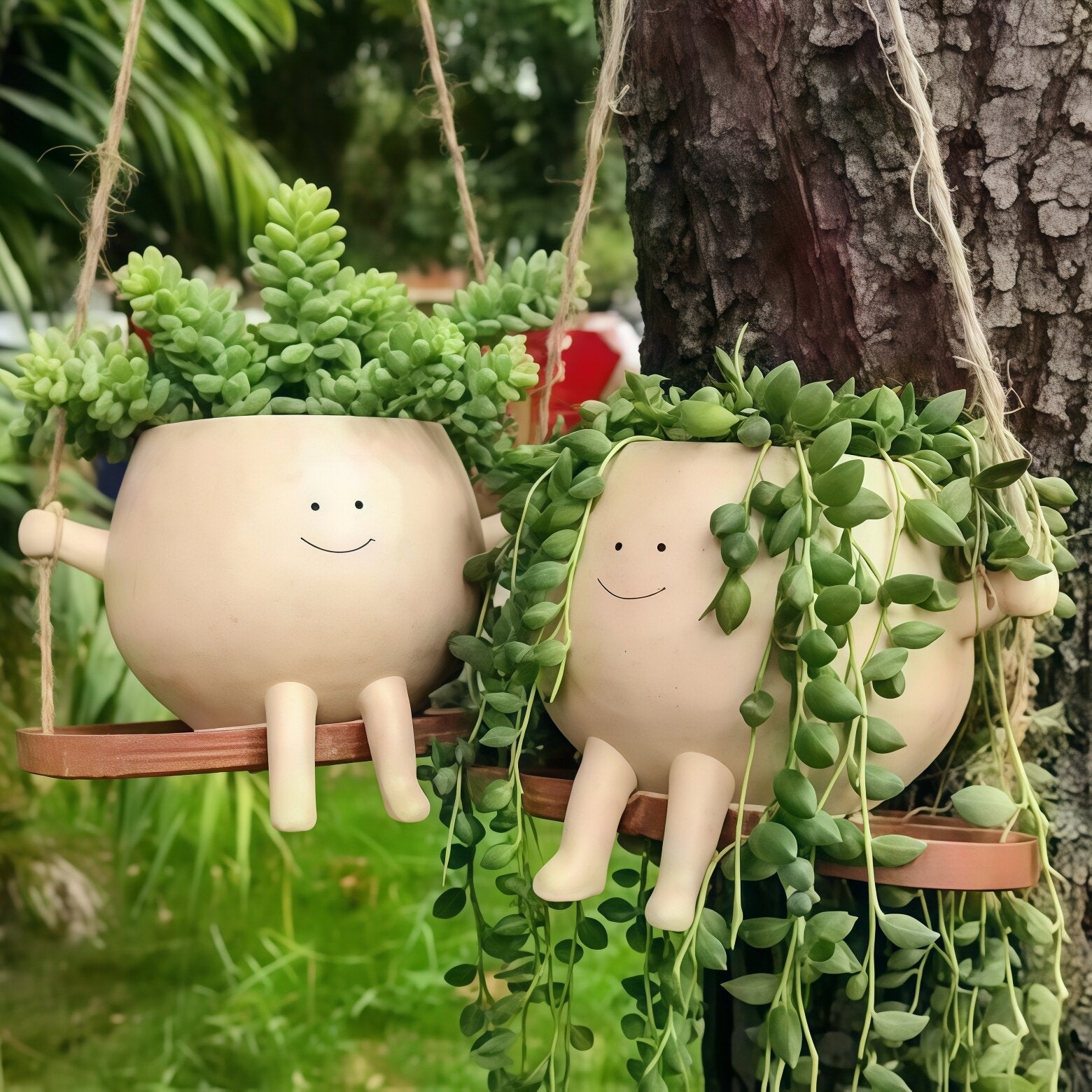 Succulent Planter