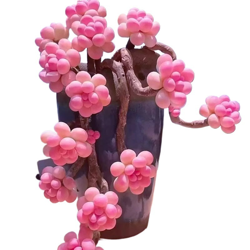 Succulent plants