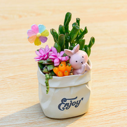 Succulent pot plant