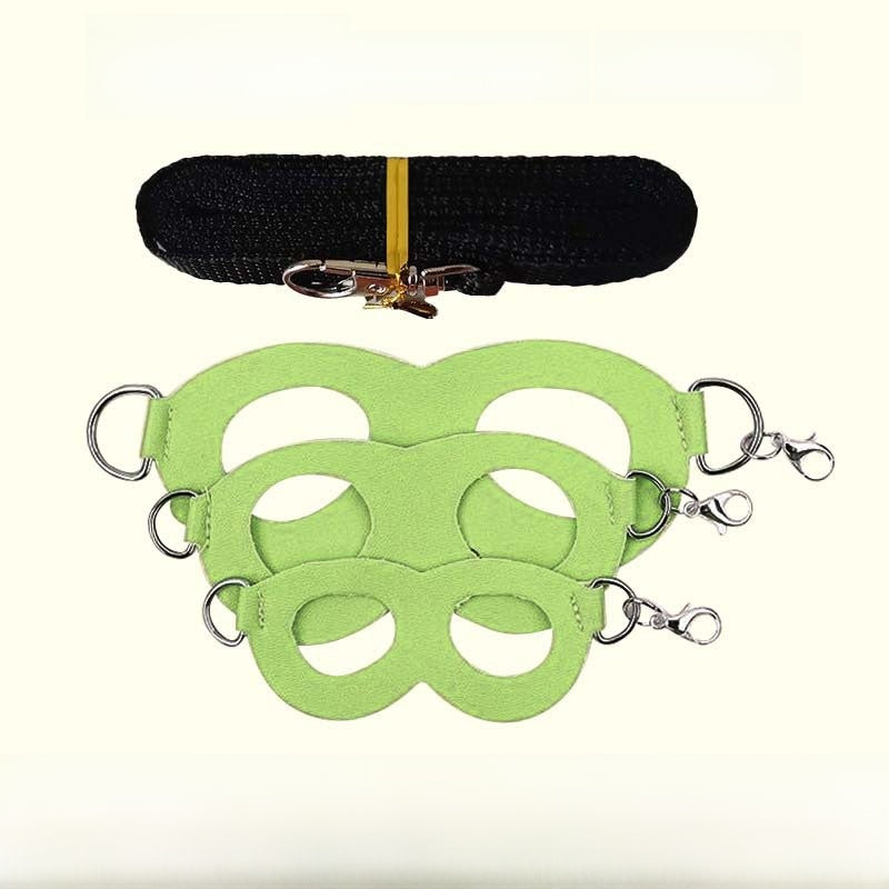 Sugar glider leash