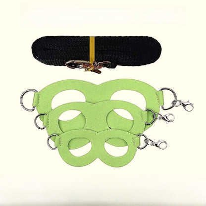 Sugar glider leash