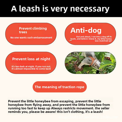 Sugar glider leash